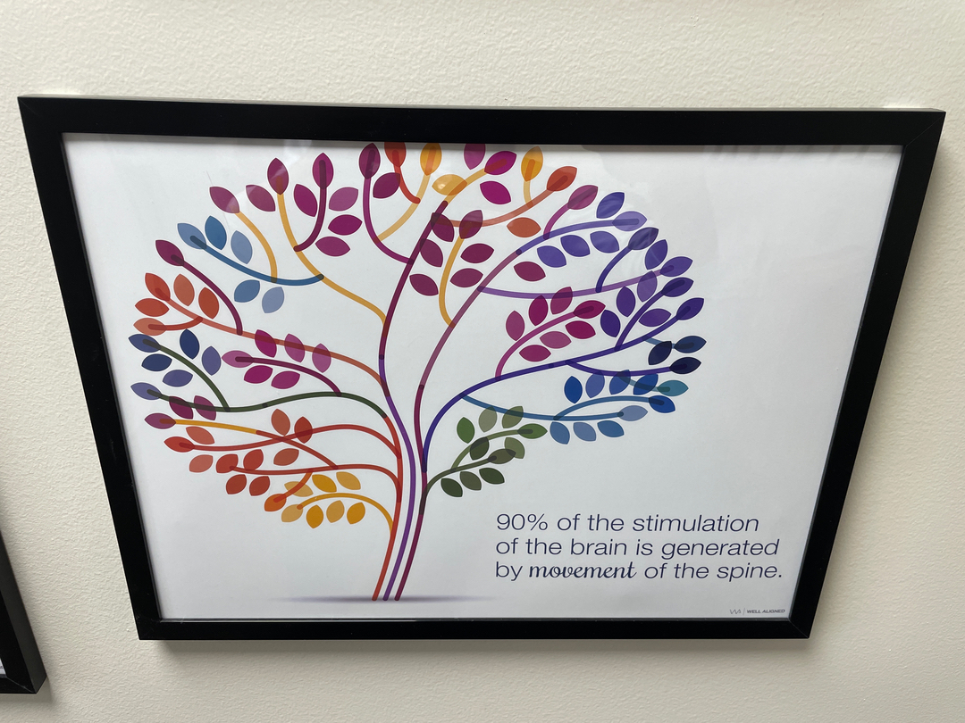 Principled Living Tonal Chiropractic Image