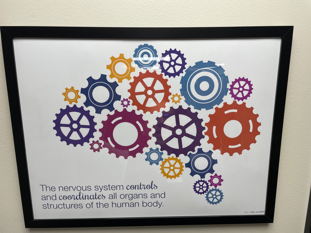 Principled Living Tonal Chiropractic Image