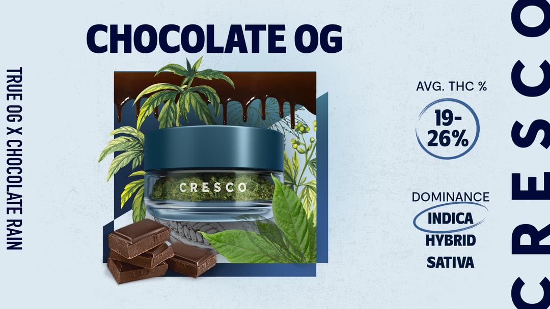 Kush Groove Cannabis Dispensary | Brockton, MA - South Shore Image