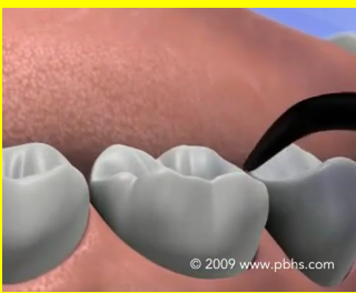 Kalinian Susie DMD Pediatric D Image