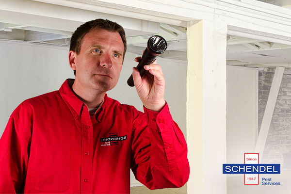 Schendel Pest Services - Addison, TX