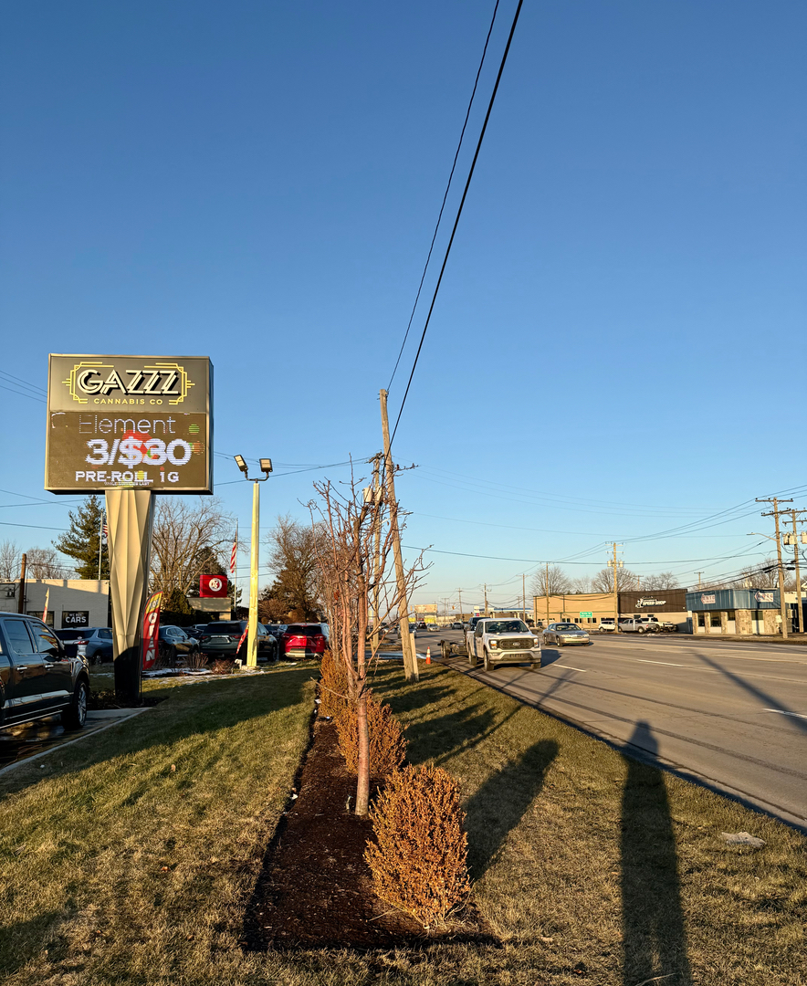 Gazzz Cannabis Image