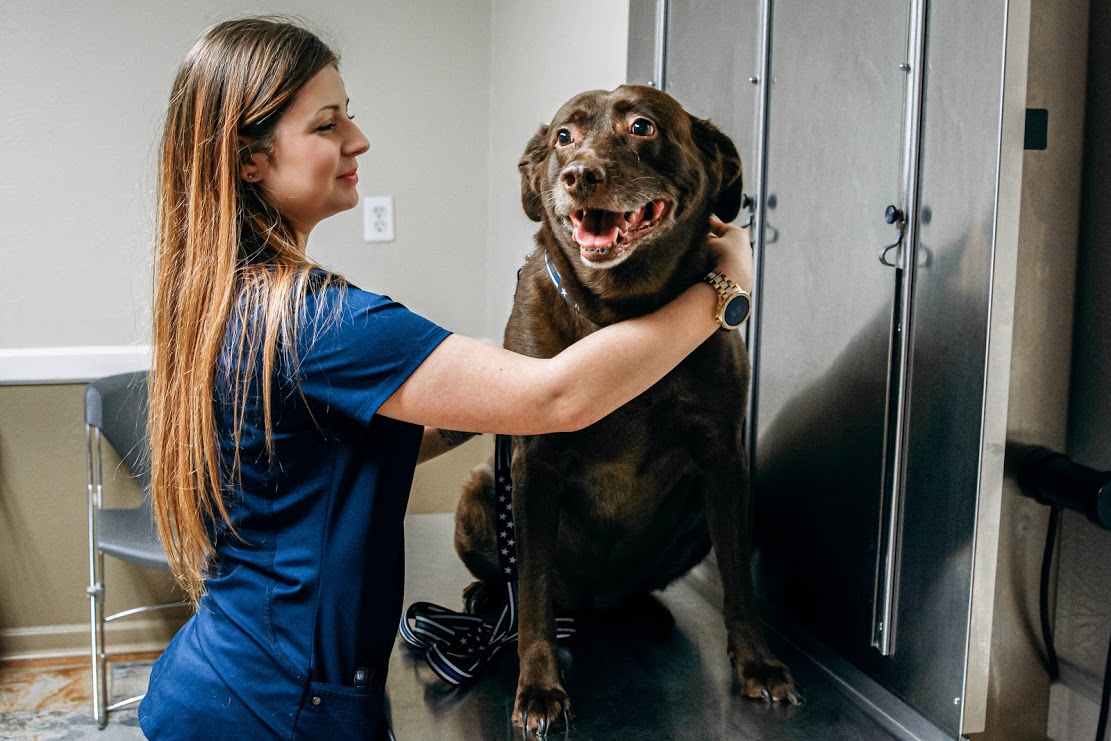 Jackson County Animal Hospital - Independence, MO