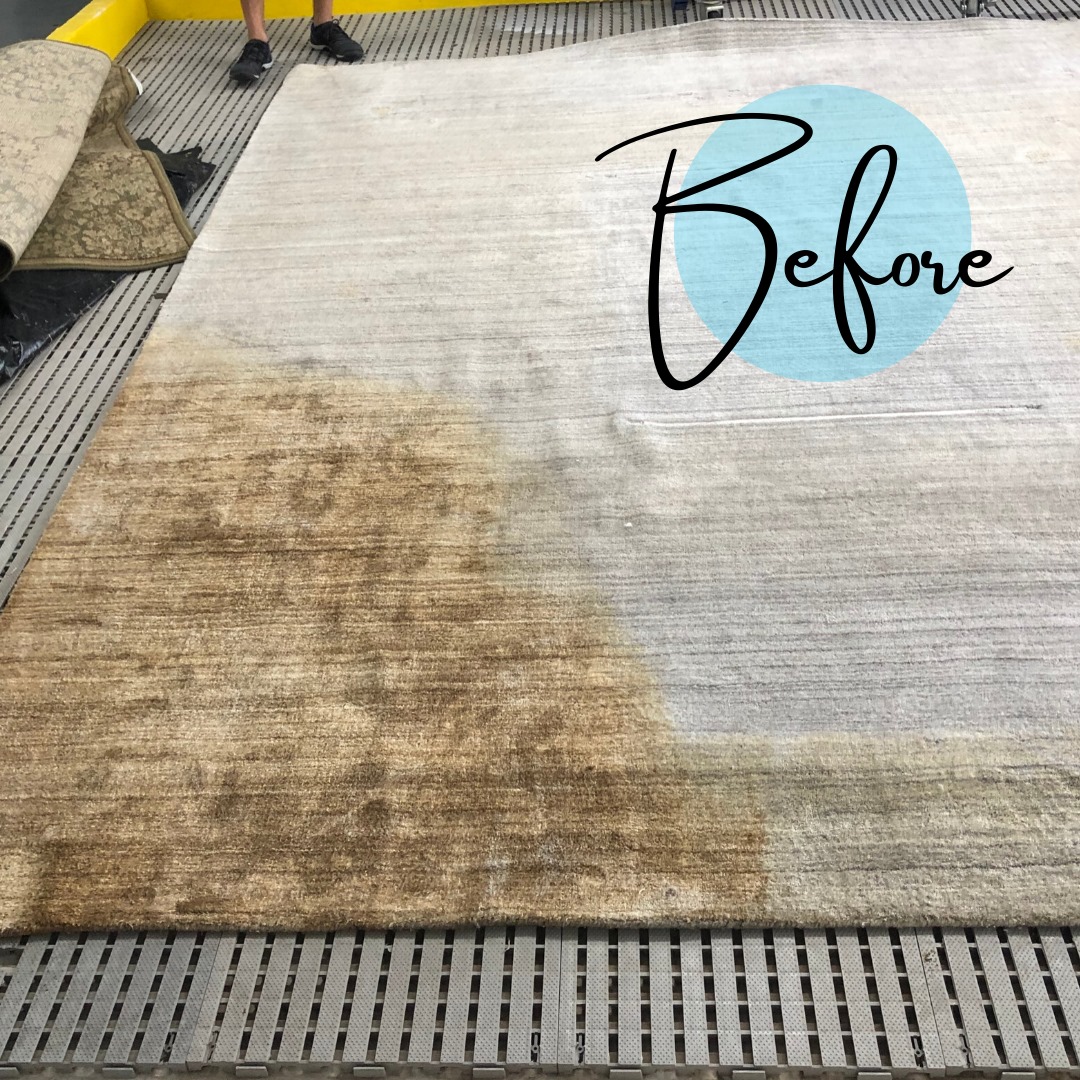 Alamo Rug Cleaning Image