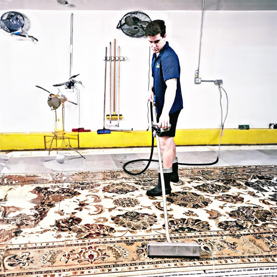 Alamo Rug Cleaning Image