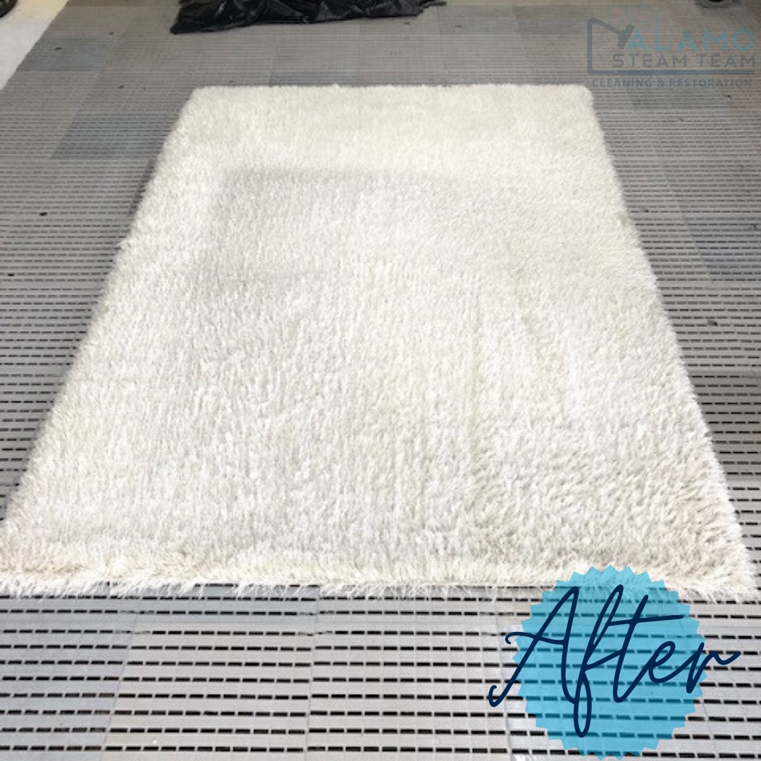 Alamo Rug Cleaning Image