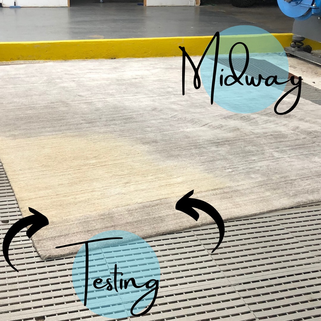 Alamo Rug Cleaning Image