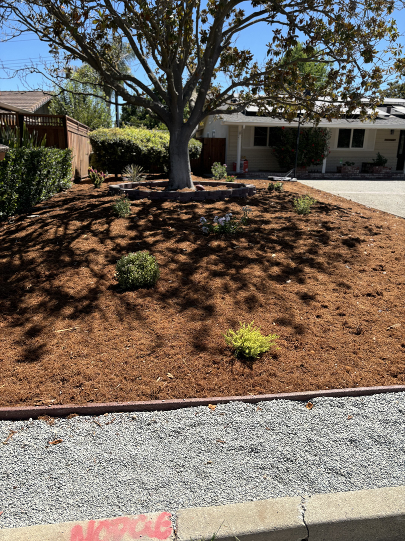 Elias Landscaping Inc. Image