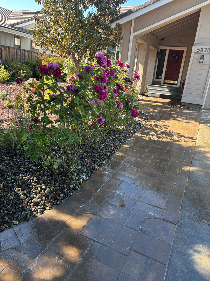 Elias Landscaping Inc. Image