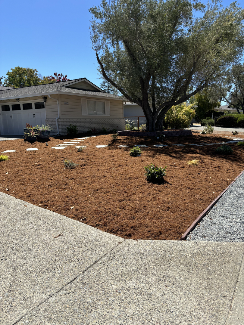 Elias Landscaping Inc. Image