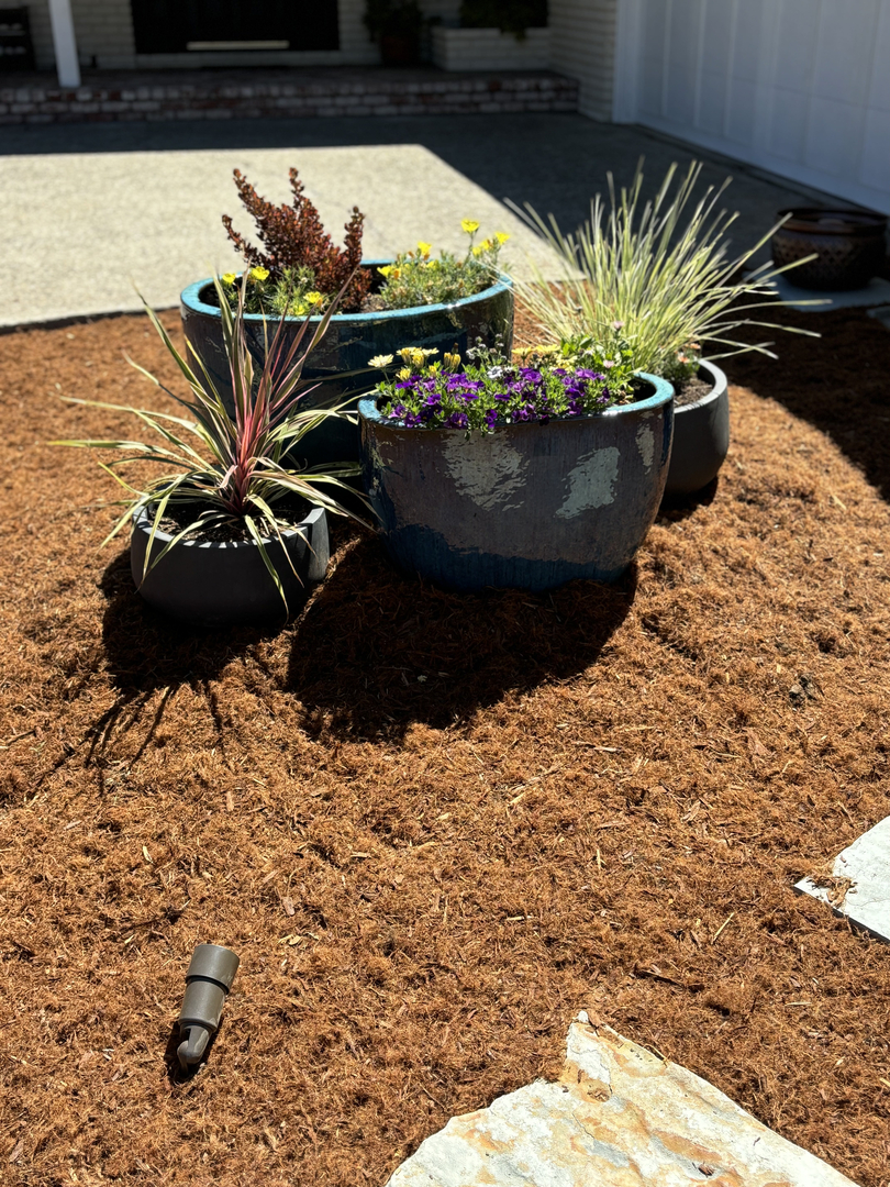 Elias Landscaping Inc. Image