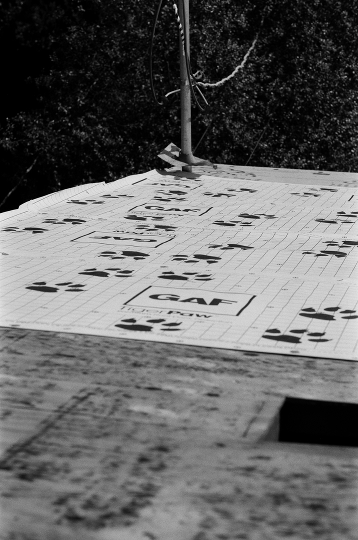 Swell Roofing Inc - Long Beach, CA