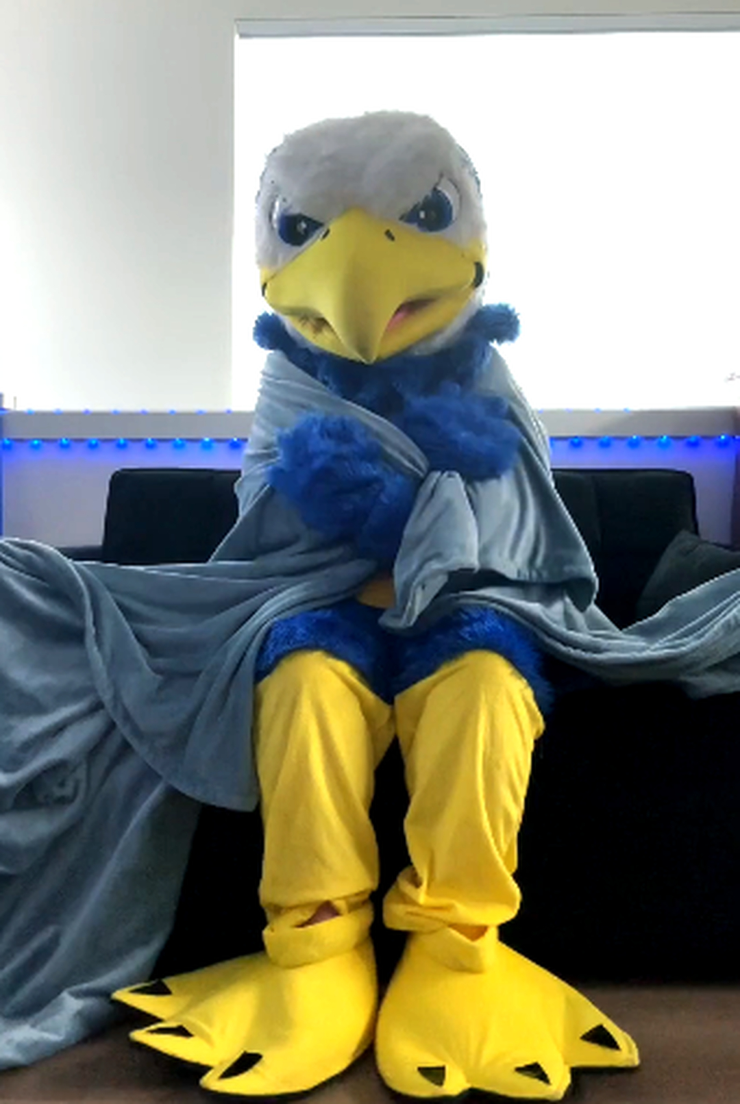 Eagle Pipe Heating & Air Image