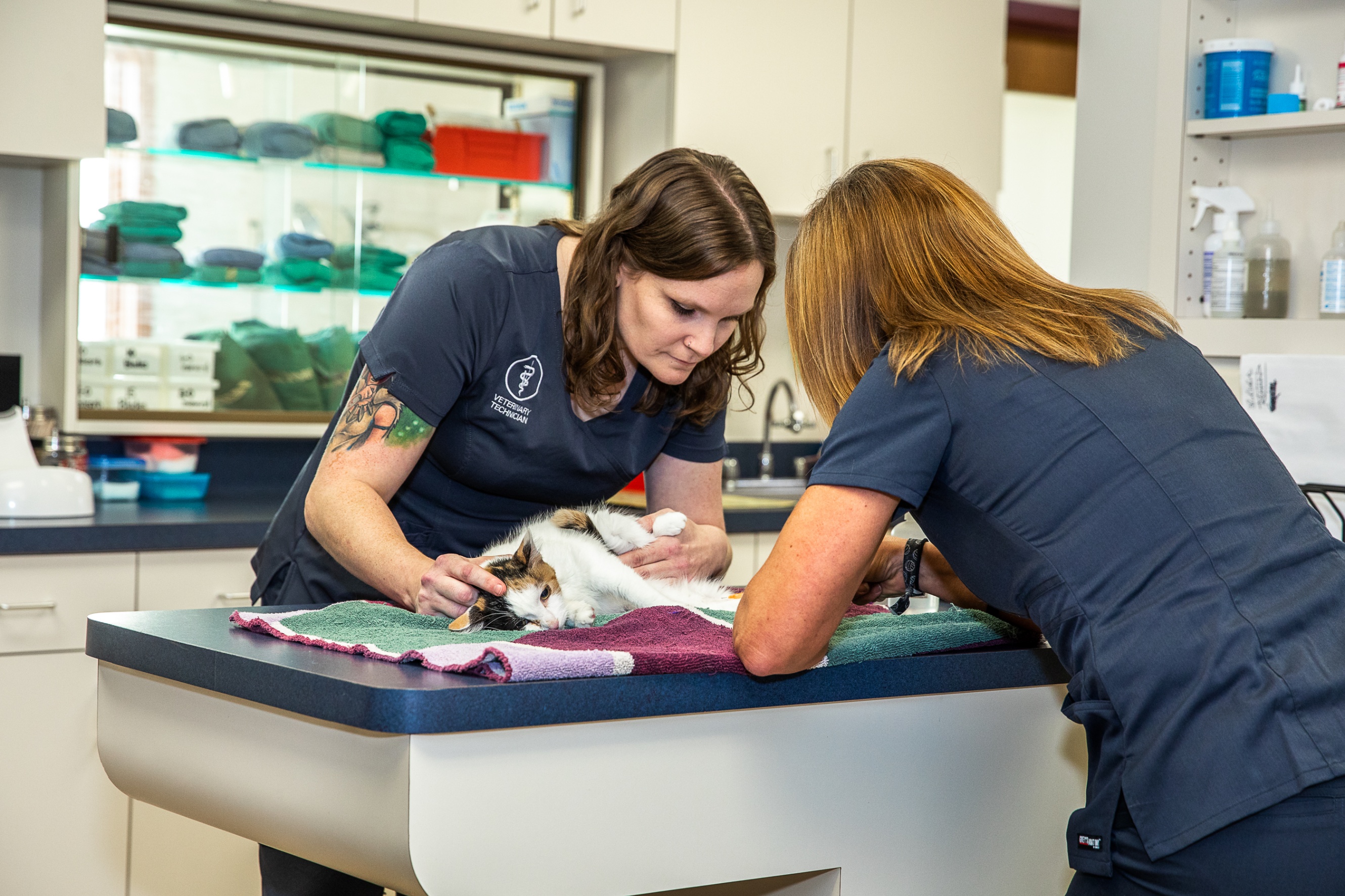 Frankenmuth - Birch Run Veterinary Hospital - Birch Run, MI