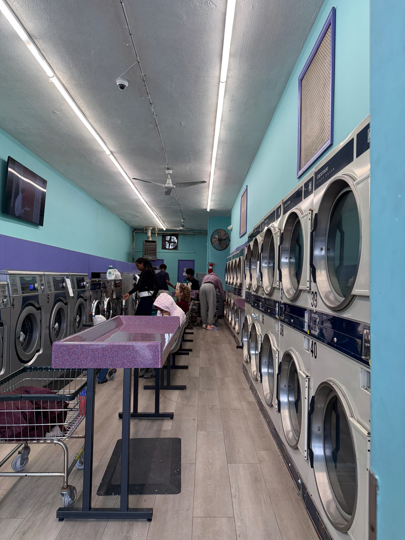 SonWray Garment Care Image