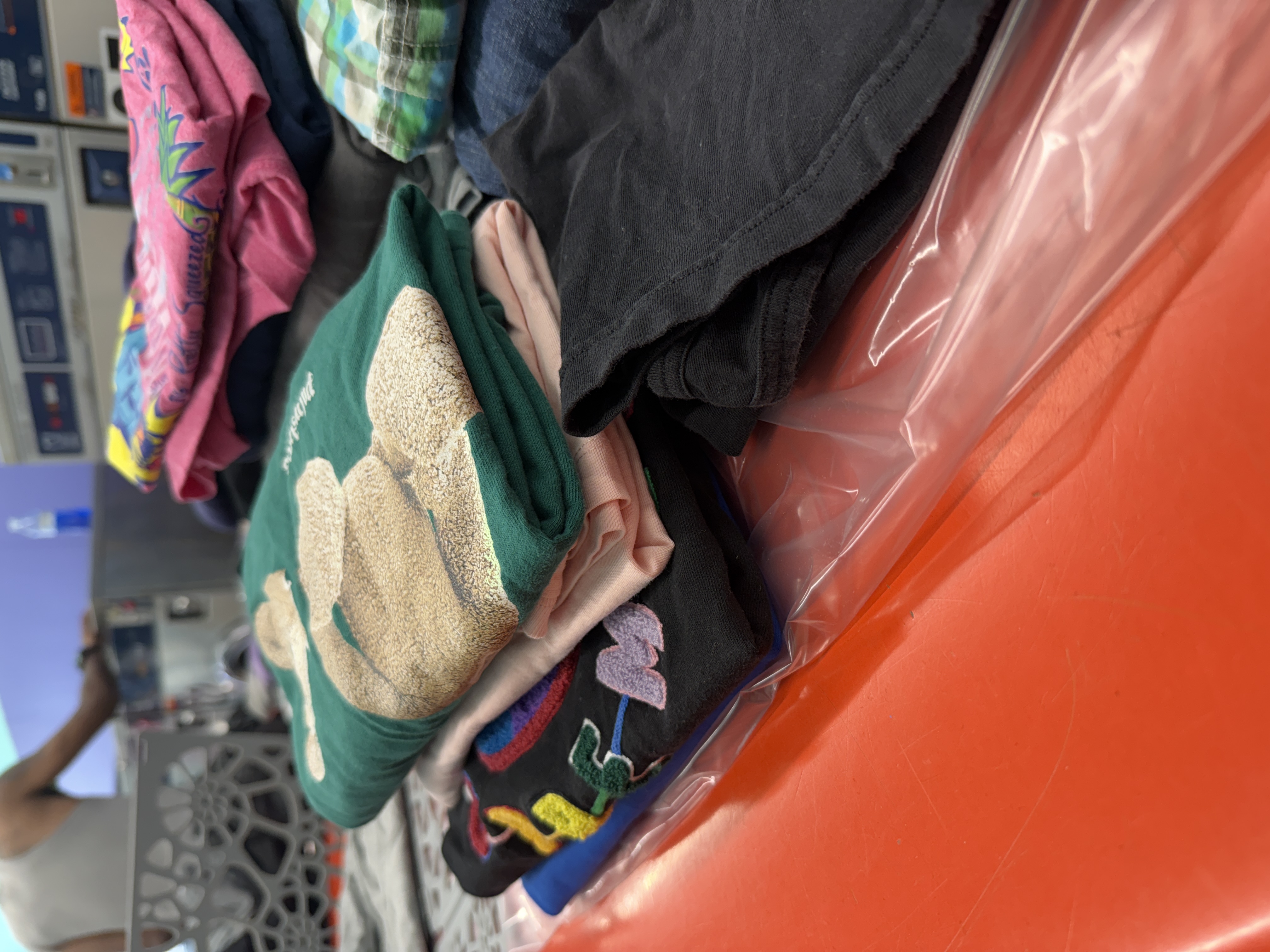 SonWray Garment Care Image