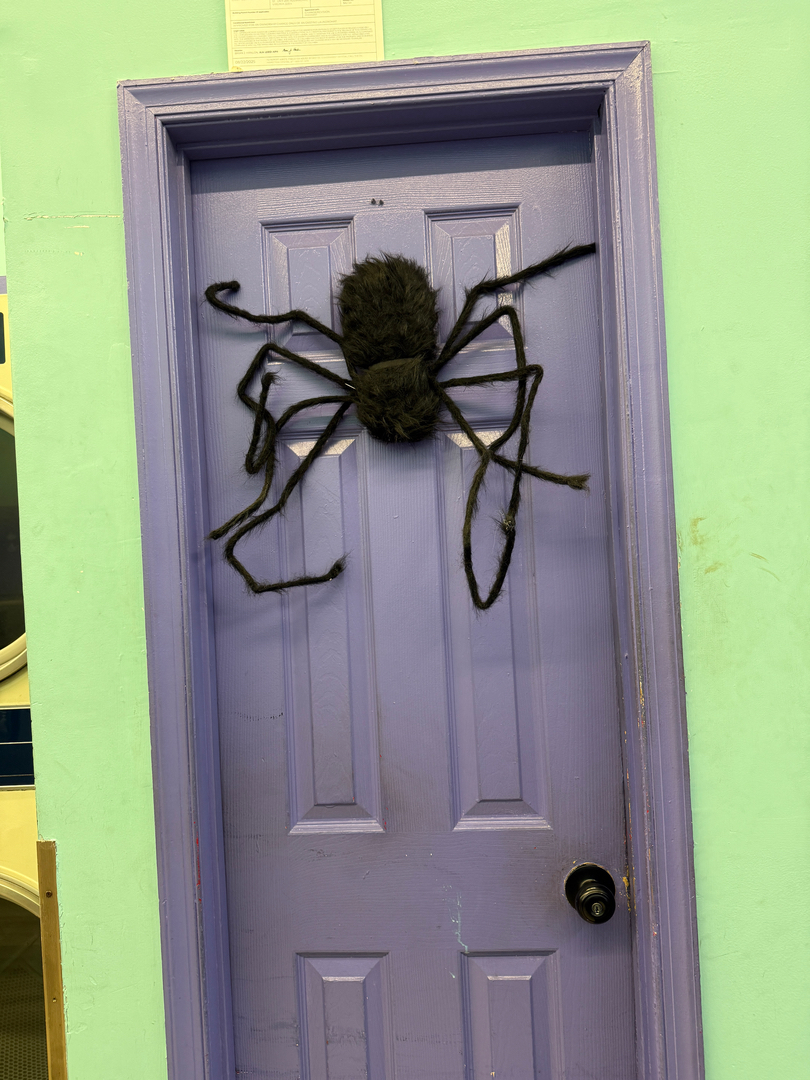 SonWray Garment Care Image