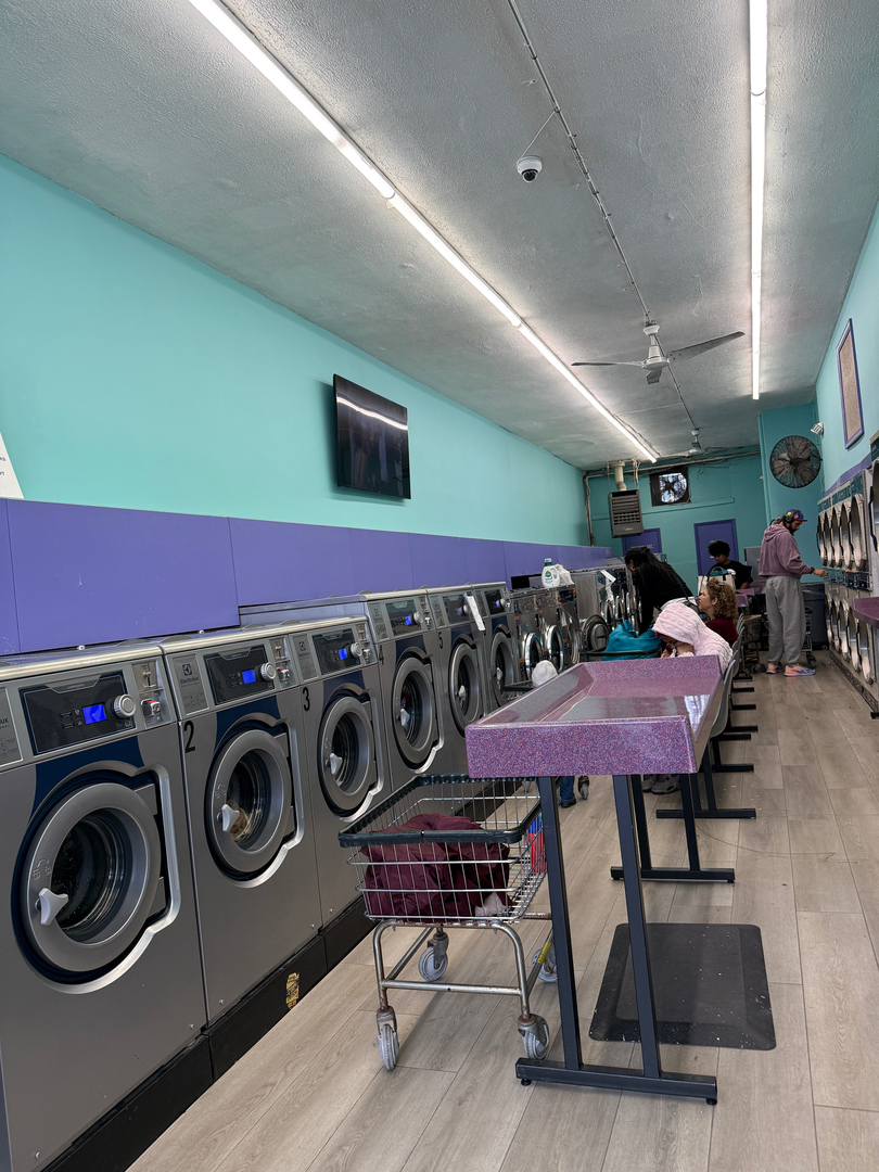 SonWray Garment Care Image