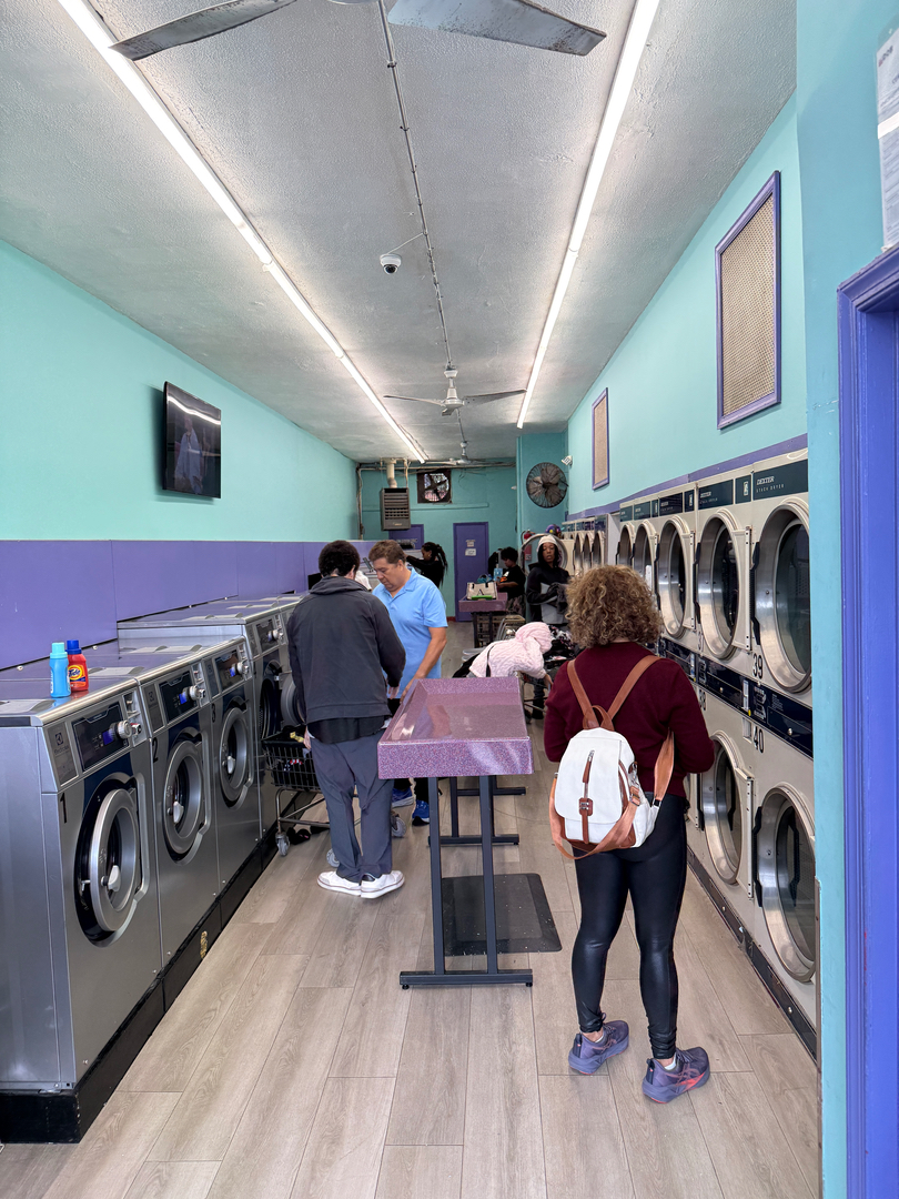 SonWray Garment Care Image