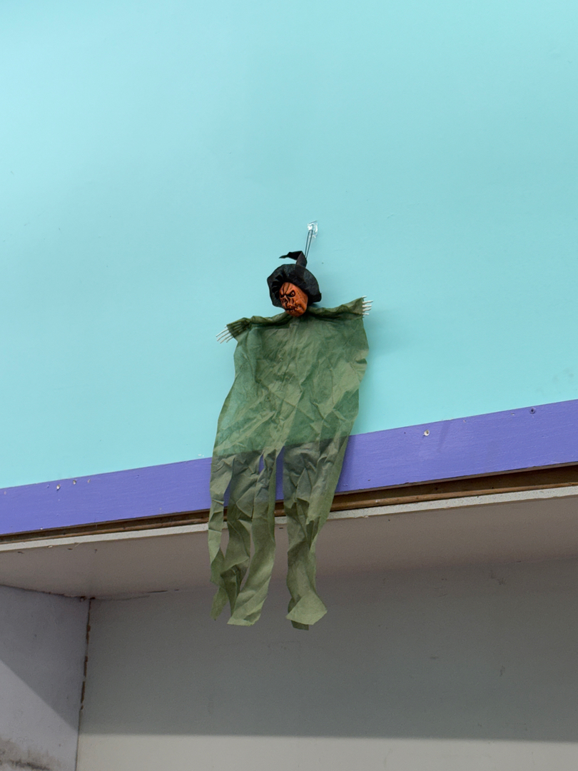 SonWray Garment Care Image