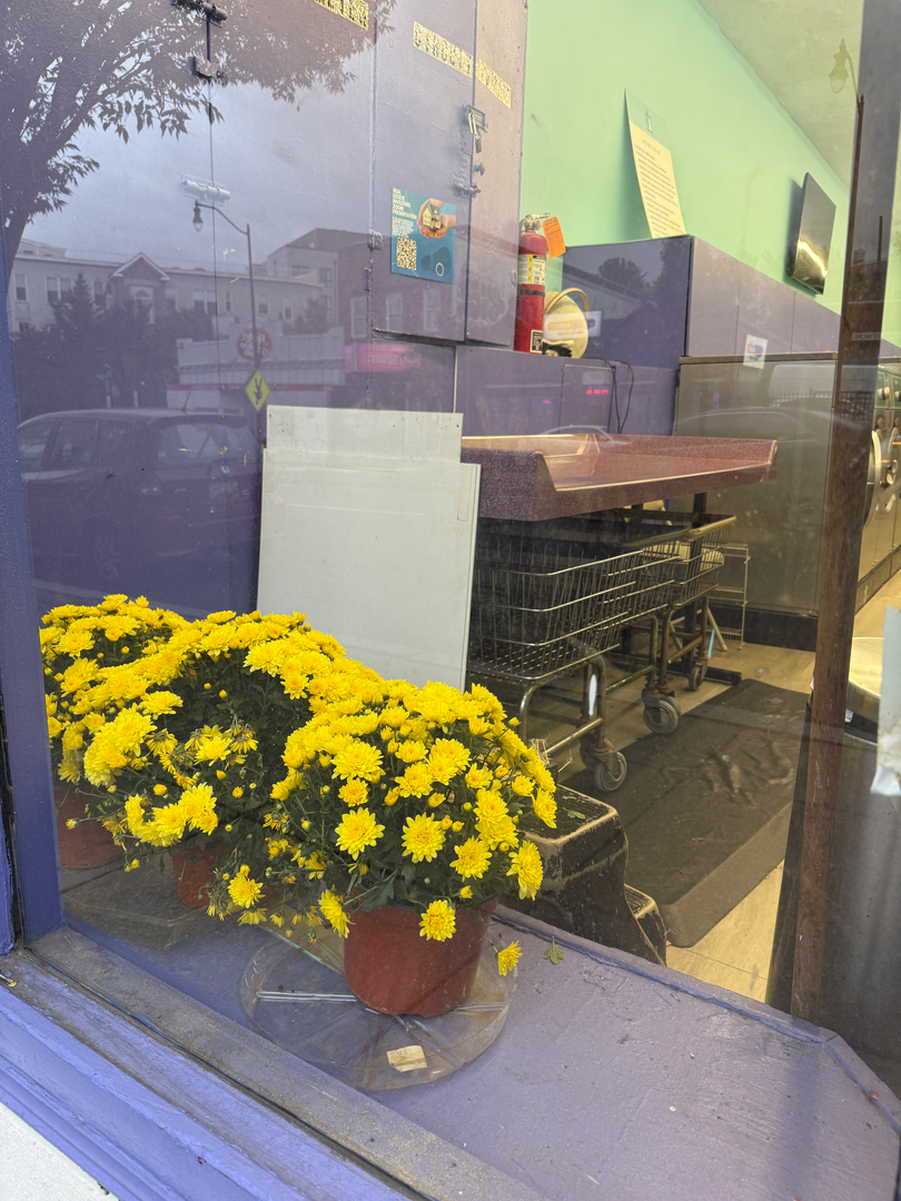 SonWray Garment Care Image