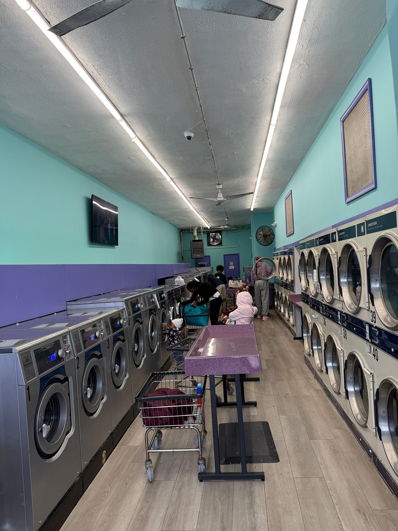 SonWray Garment Care Image