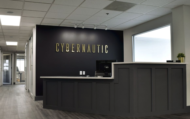 Cybernautic Web Design Image