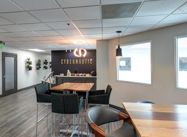 Cybernautic Web Design Image