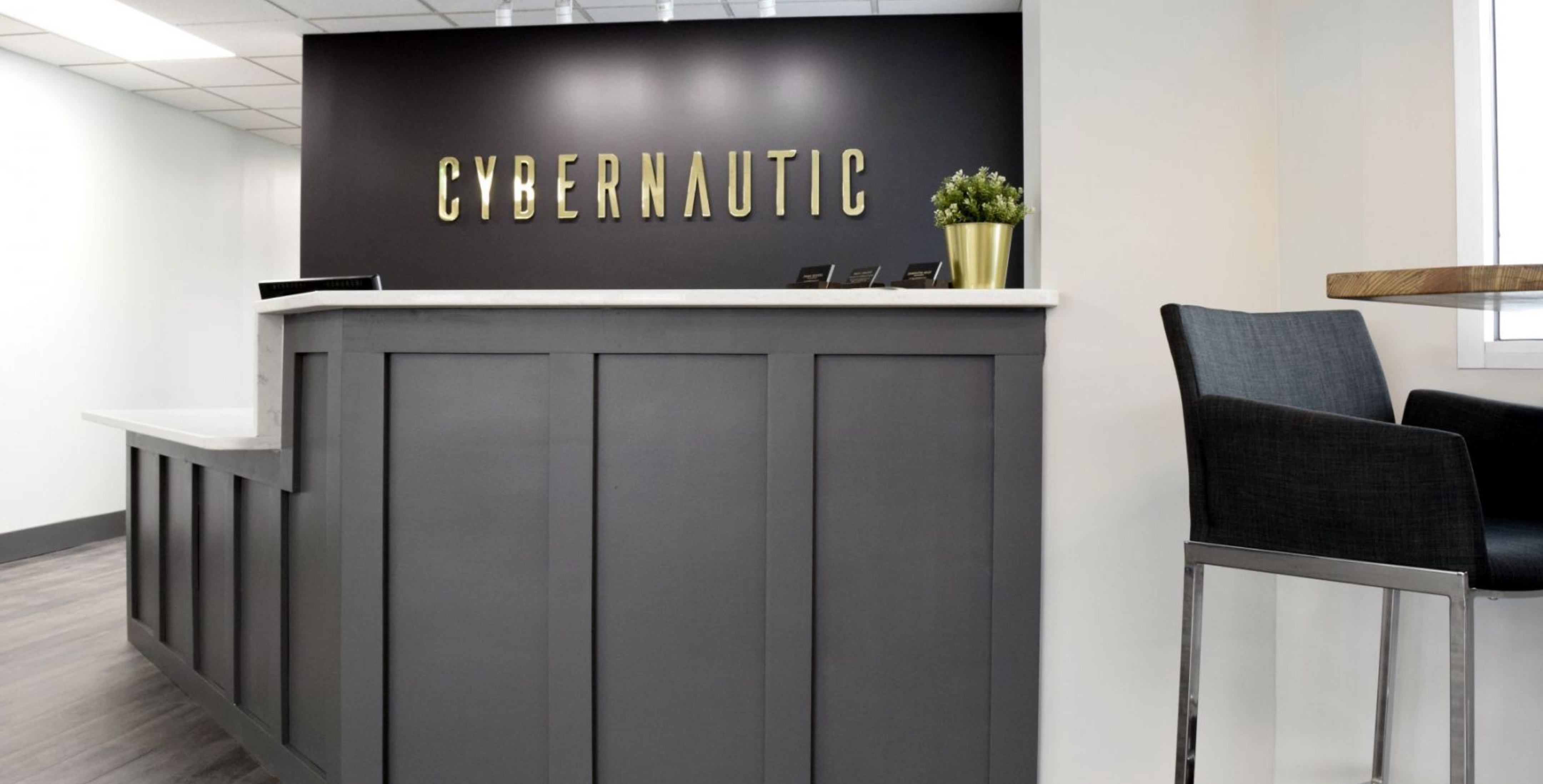 Cybernautic Web Design Image