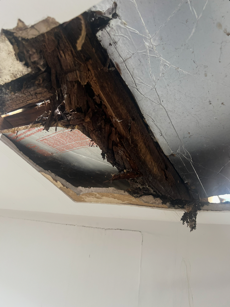 Eastern Oak Roofing Image