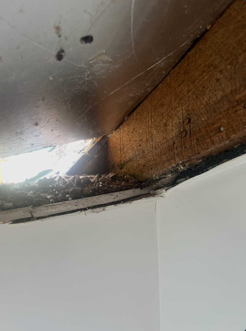 Eastern Oak Roofing Image
