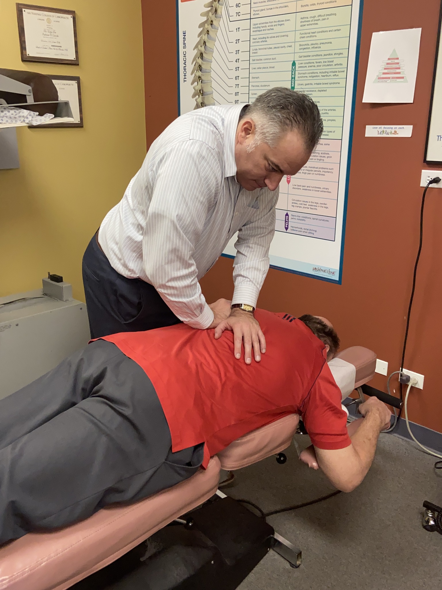 Giaquinto Chiropractic and Digestion Center - Naperville, IL