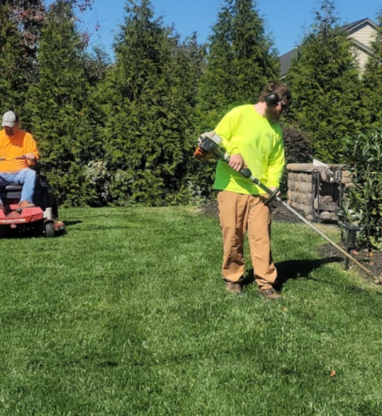 EVERGREEN ISLANDS LLC Image