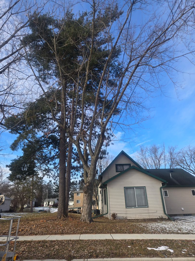 Revved Up Tree Service Image