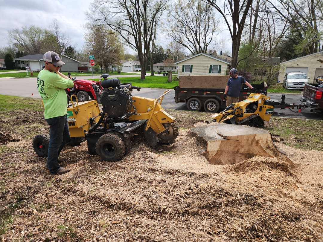 Revved Up Tree Service - Edgerton, WI