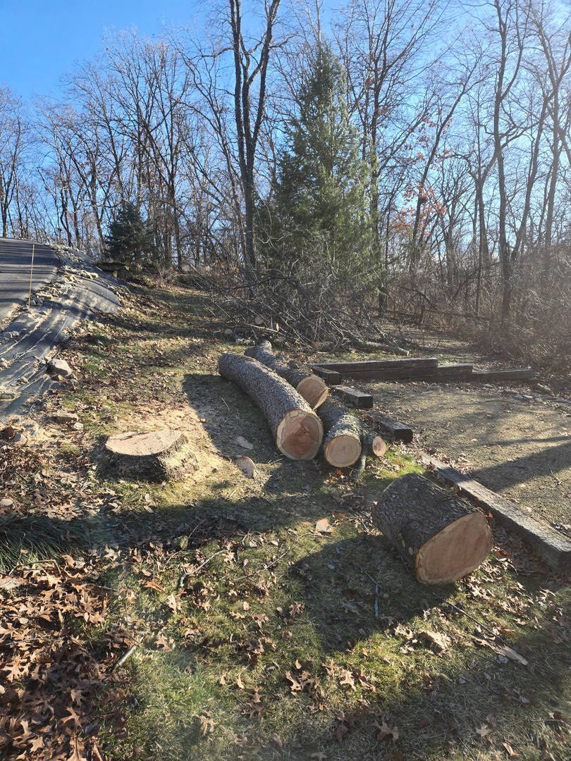 Revved Up Tree Service Image