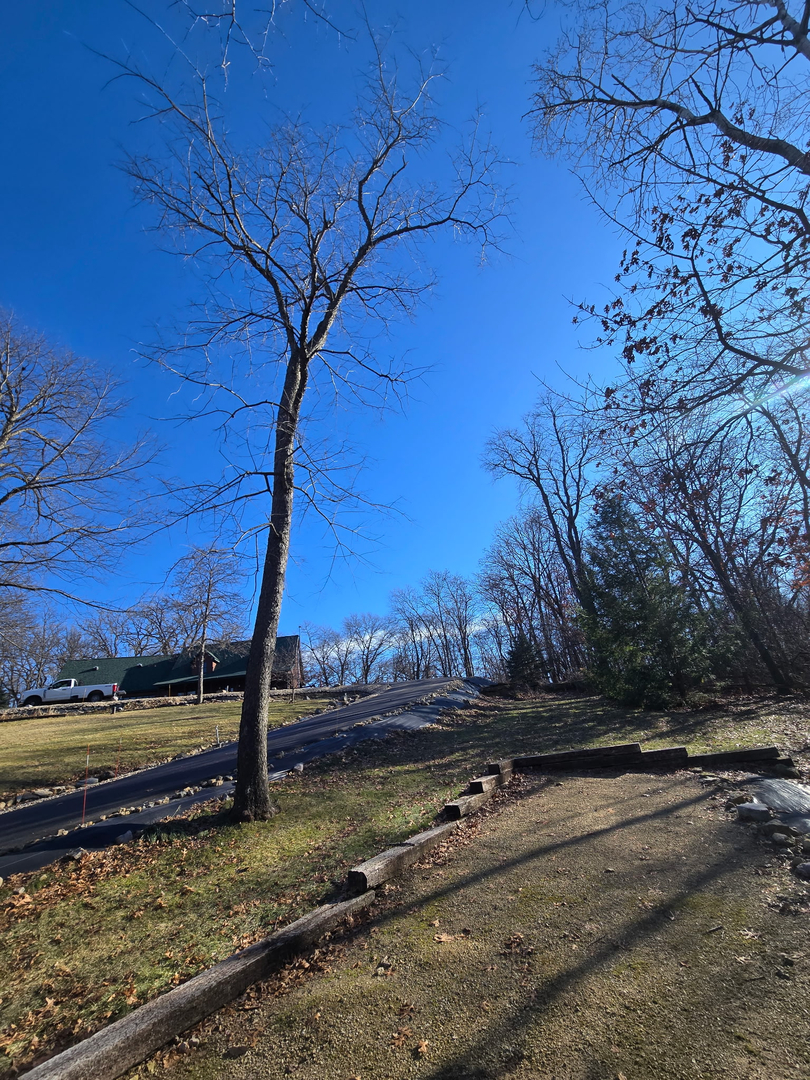 Revved Up Tree Service - Edgerton, WI