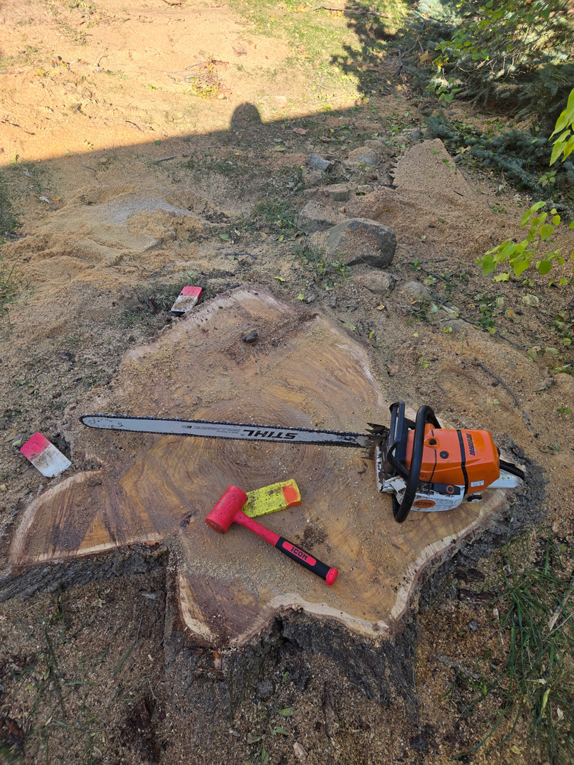 Revved Up Tree Service Image