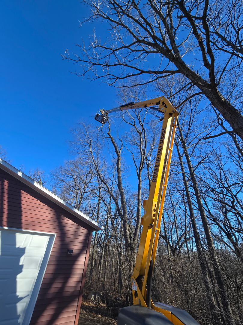 Revved Up Tree Service Image