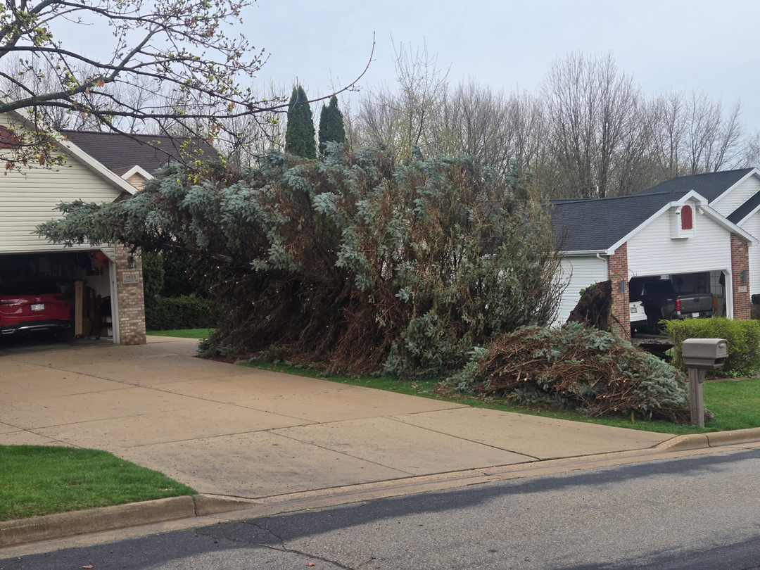 Revved Up Tree Service - Edgerton, WI