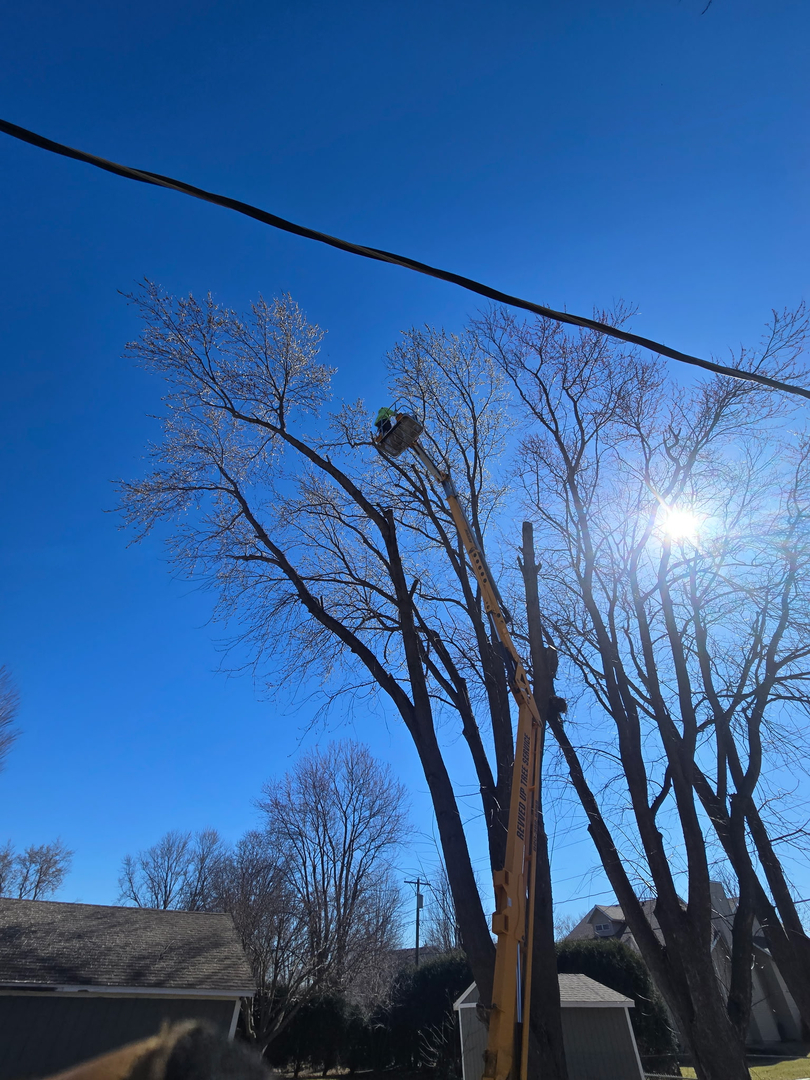 Revved Up Tree Service - Edgerton, WI