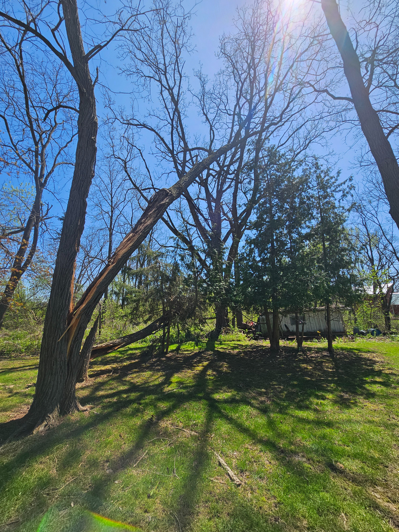 Revved Up Tree Service - Edgerton, WI