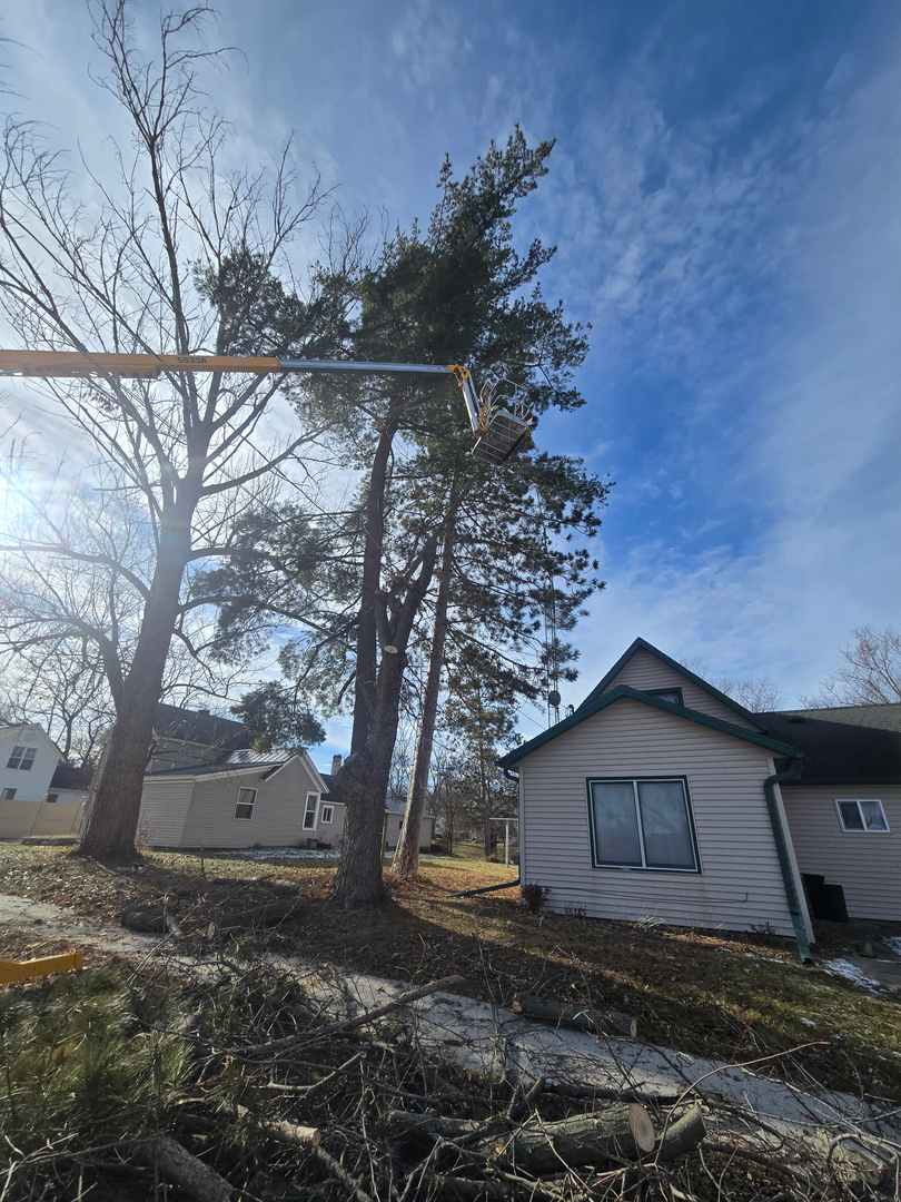 Revved Up Tree Service - Edgerton, WI