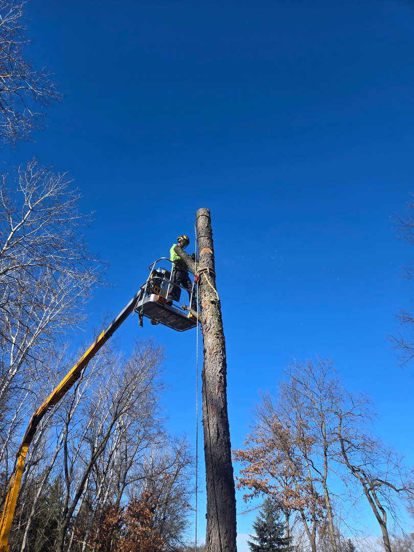 Revved Up Tree Service - Edgerton, WI
