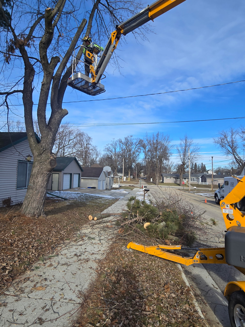 Revved Up Tree Service Image