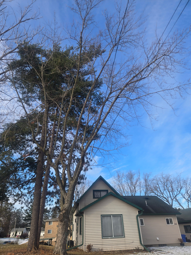 Revved Up Tree Service Image