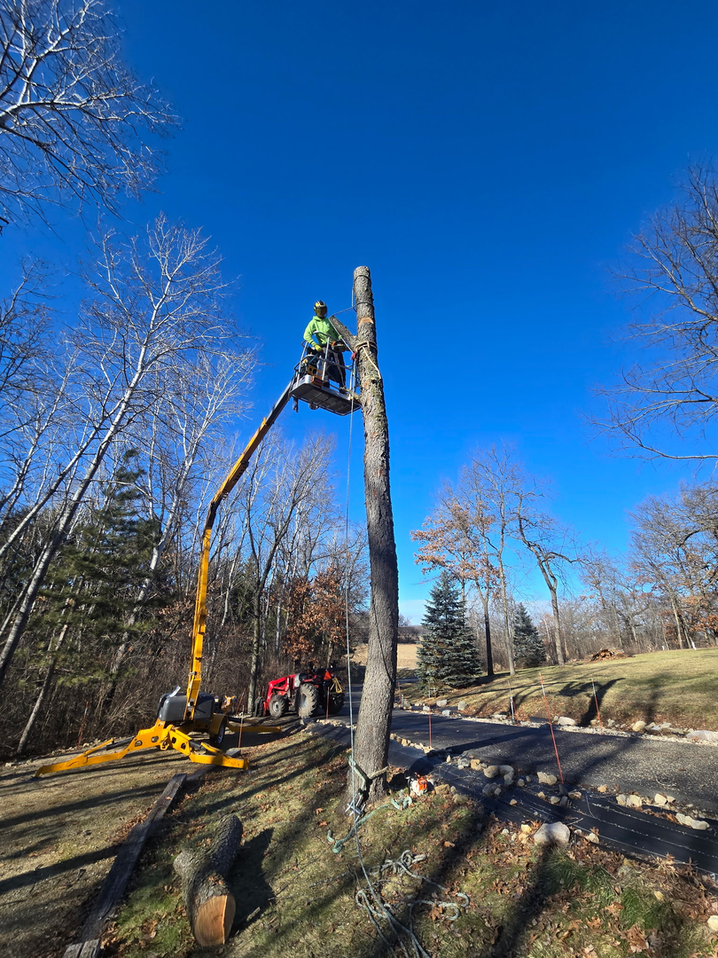 Revved Up Tree Service - Edgerton, WI