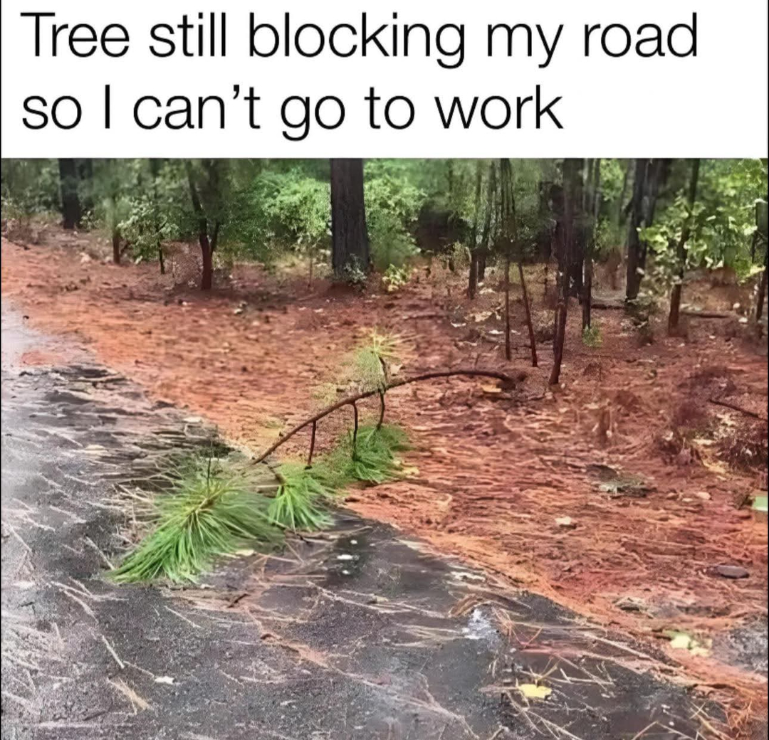 Revved Up Tree Service Image