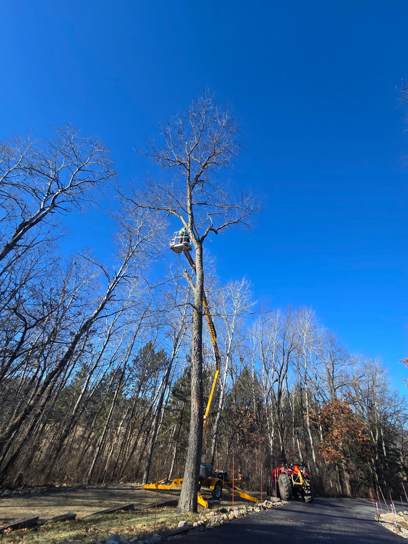 Revved Up Tree Service - Edgerton, WI