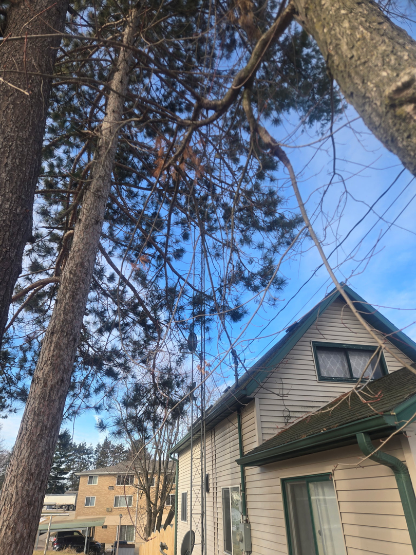Revved Up Tree Service - Edgerton, WI